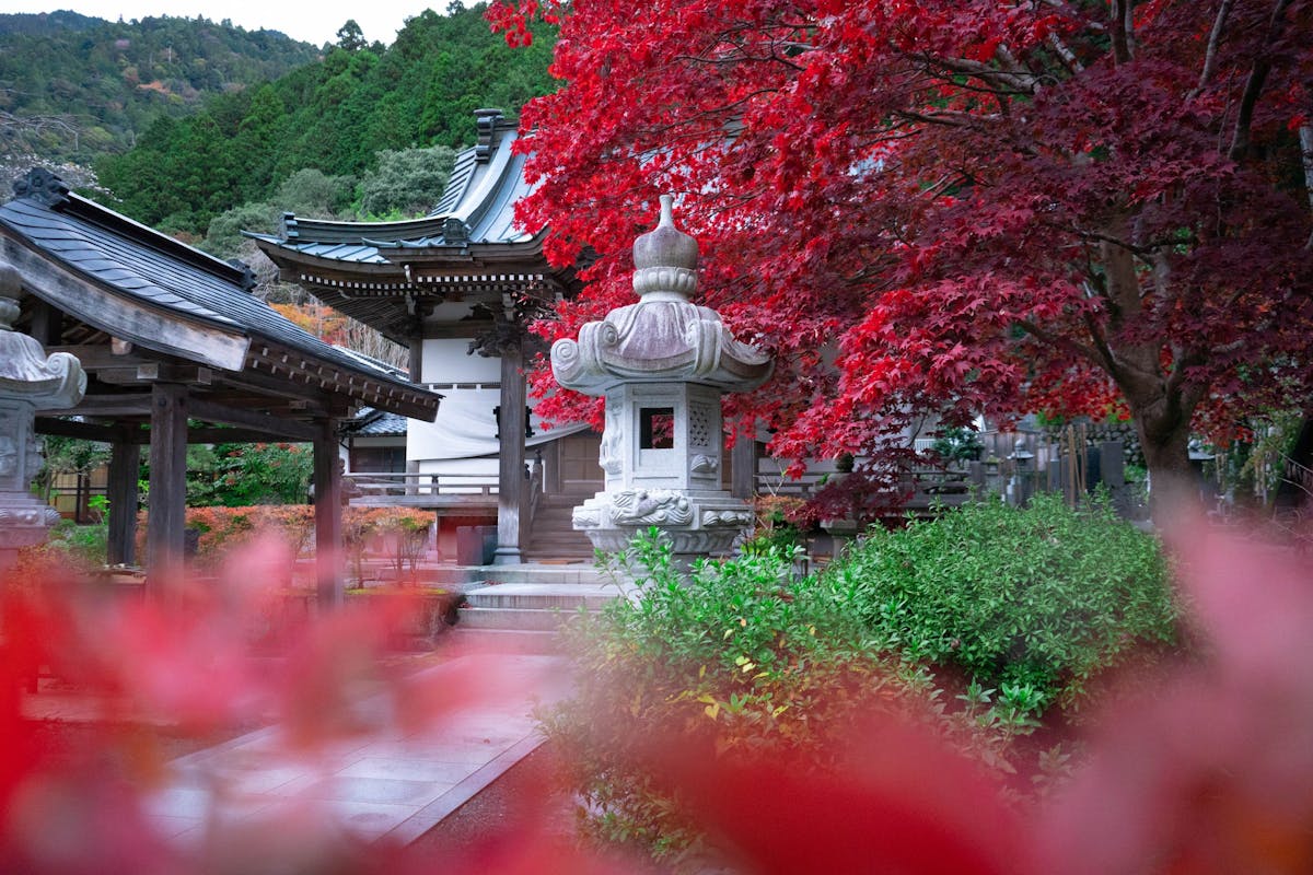 Stone lantern and maples in a Japanese garden, Photo: Pexels / Lucas Calloch